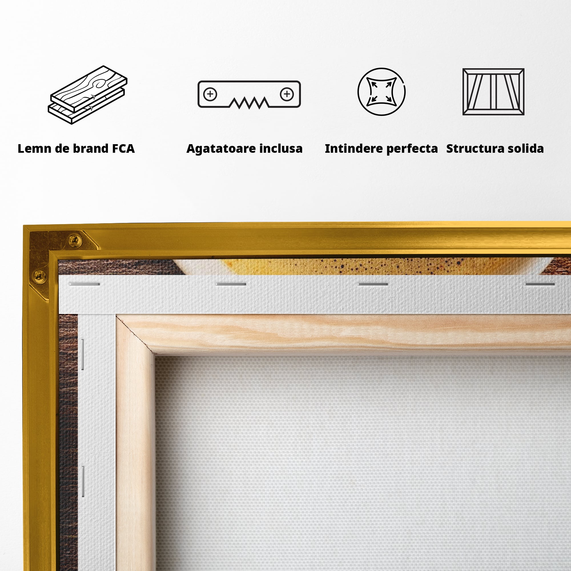 Leinwand Wandkunst Canvas Premium, LuxCanva® L1011, Kontinente in Tasse, Karte, Kaffee, Tasse, modern, künstlerisch, Design, Cafe, Büro, Wohnen, Kinderzimmer