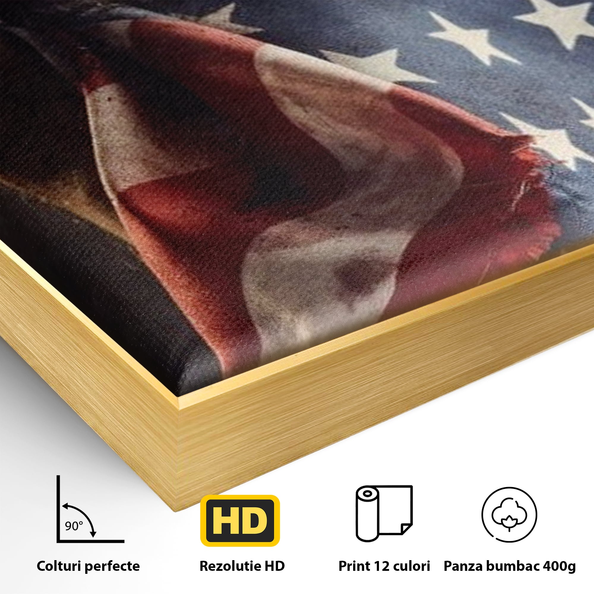 Leinwandbilder Premium, LuxCanva® L1015, Kampf um Ruhm, Flagge, Kultur, Geschichte, USA, Held, Mut, Macht, Büro, Wohnen, Kinderzimmer