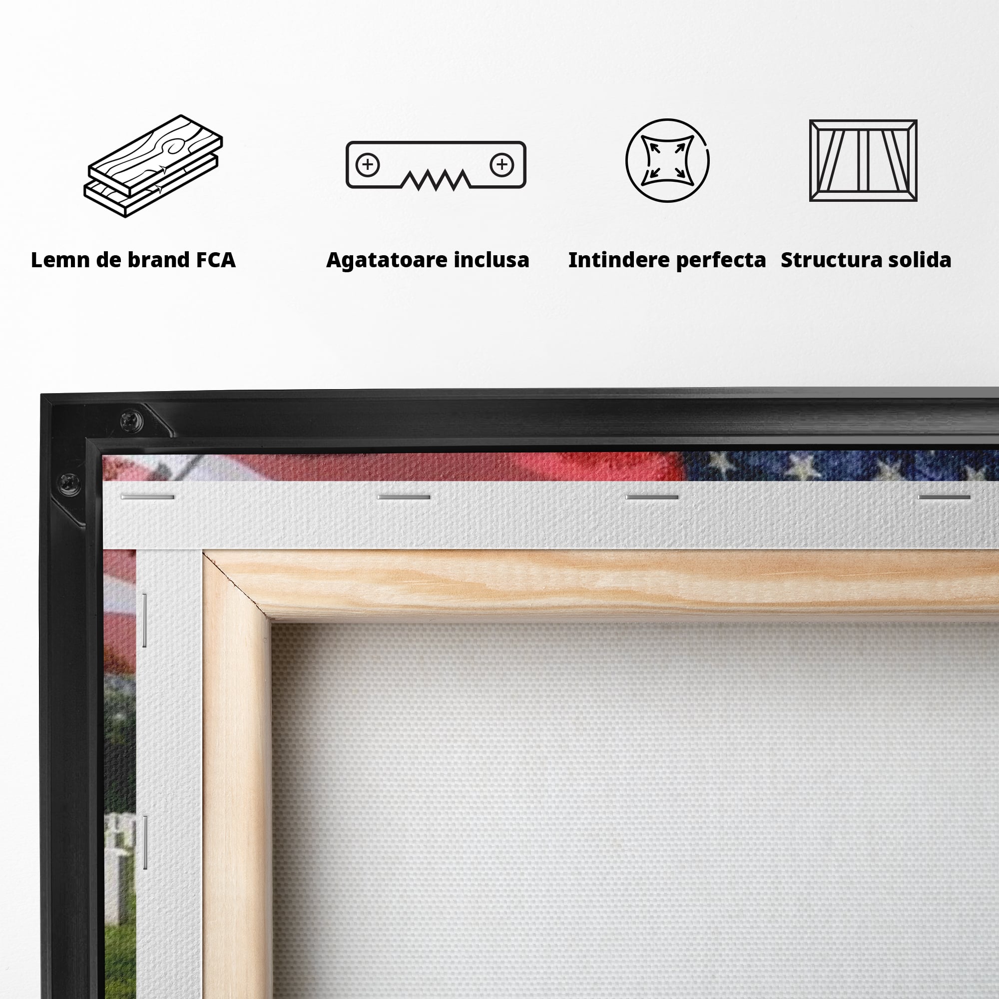 Tablou Canvas Premium, LuxCanva® L1017, Eroi sub Stele, Eroi, Patrie, Onoare, Militar, Soldat, USA, Drapel, Birou, Living, Camera Copii