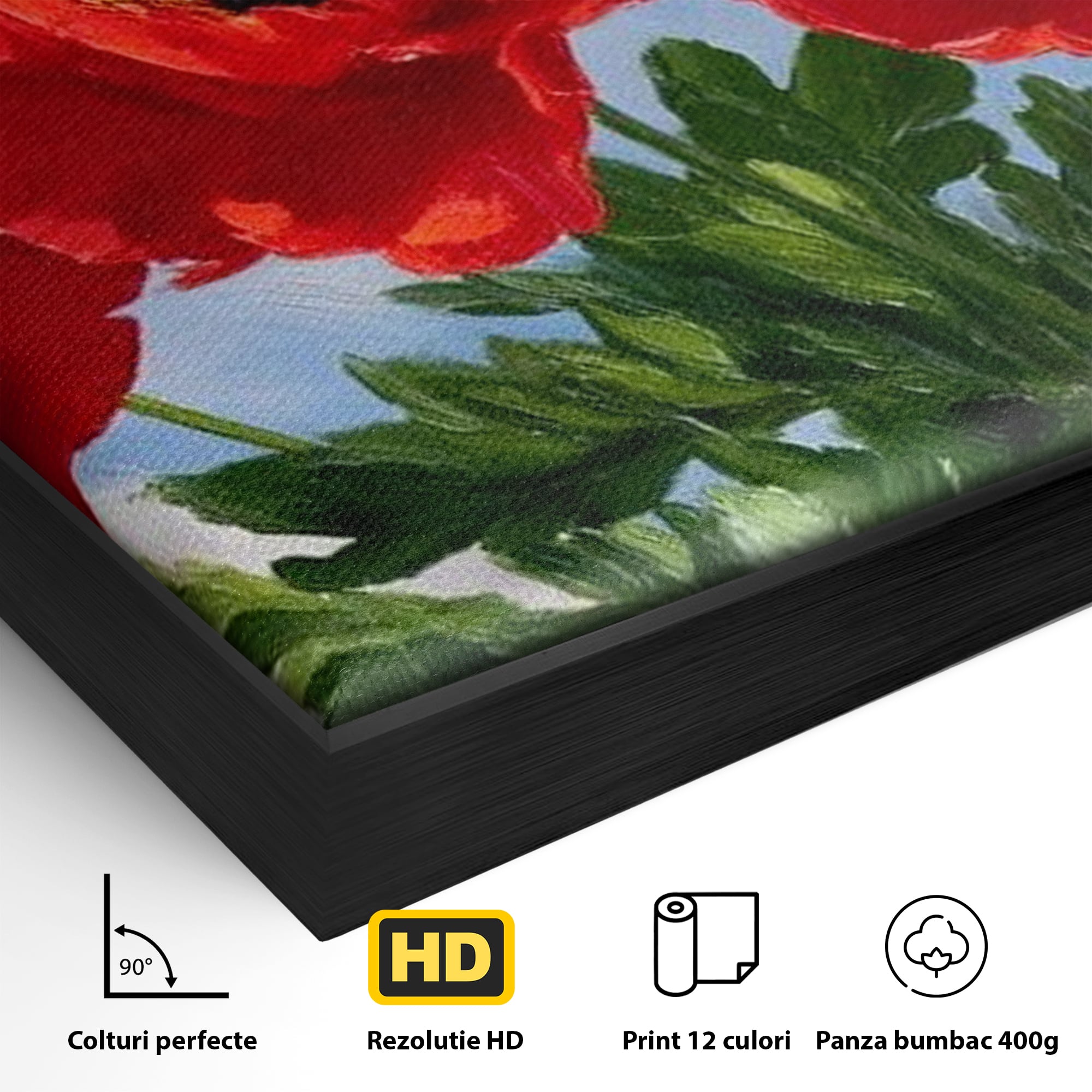 Tablou Canvas Premium, LuxCanva® L1019, Patrie in Petale, Flori, Maci, Petale, Steag, Omagiu, America, Simbol, Natura, Birou, Living, Camera Copii