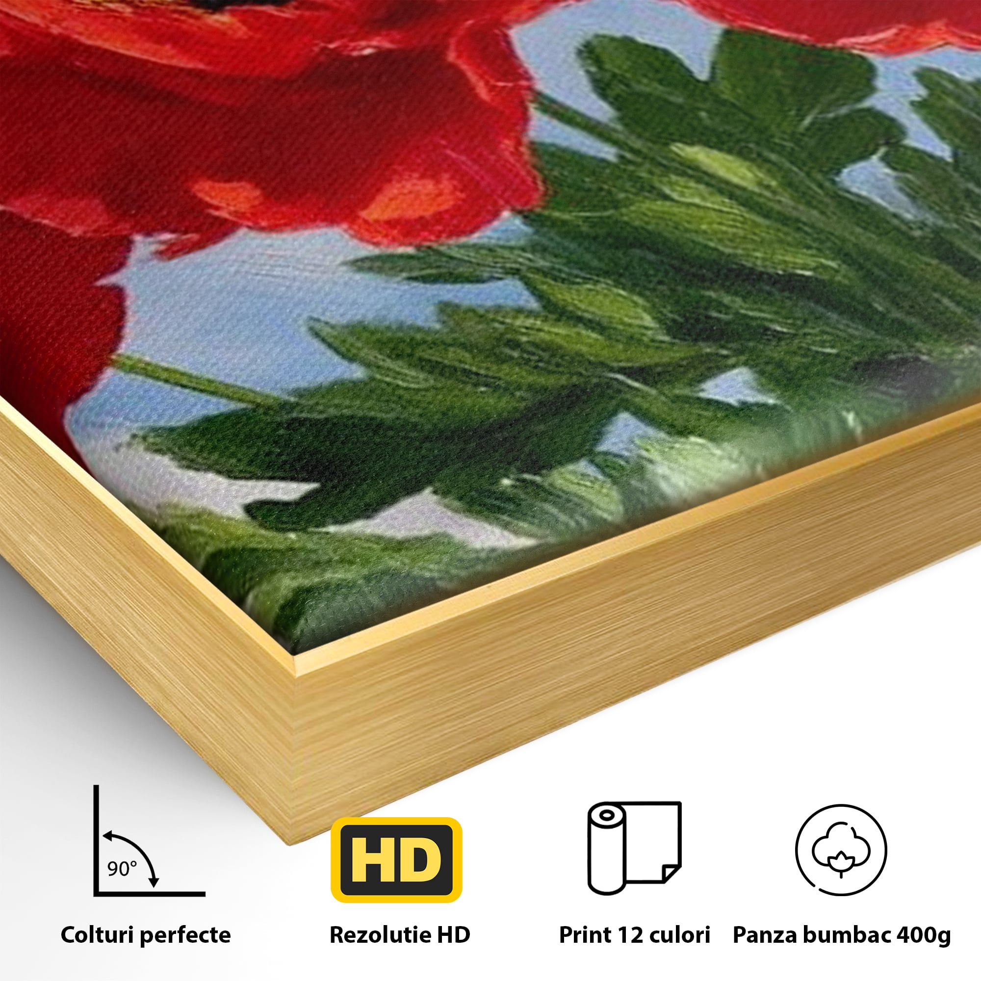 Tablou Canvas Premium, LuxCanva® L1019, Patrie in Petale, Flori, Maci, Petale, Steag, Omagiu, America, Simbol, Natura, Birou, Living, Camera Copii