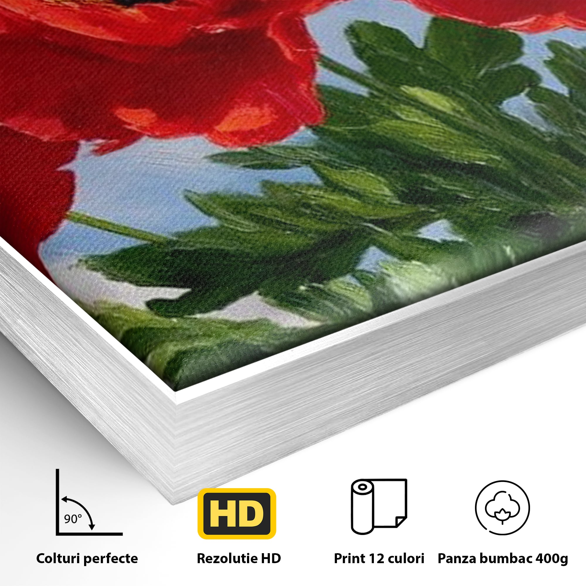 Tablou Canvas Premium, LuxCanva® L1019, Patrie in Petale, Flori, Maci, Petale, Steag, Omagiu, America, Simbol, Natura, Birou, Living, Camera Copii