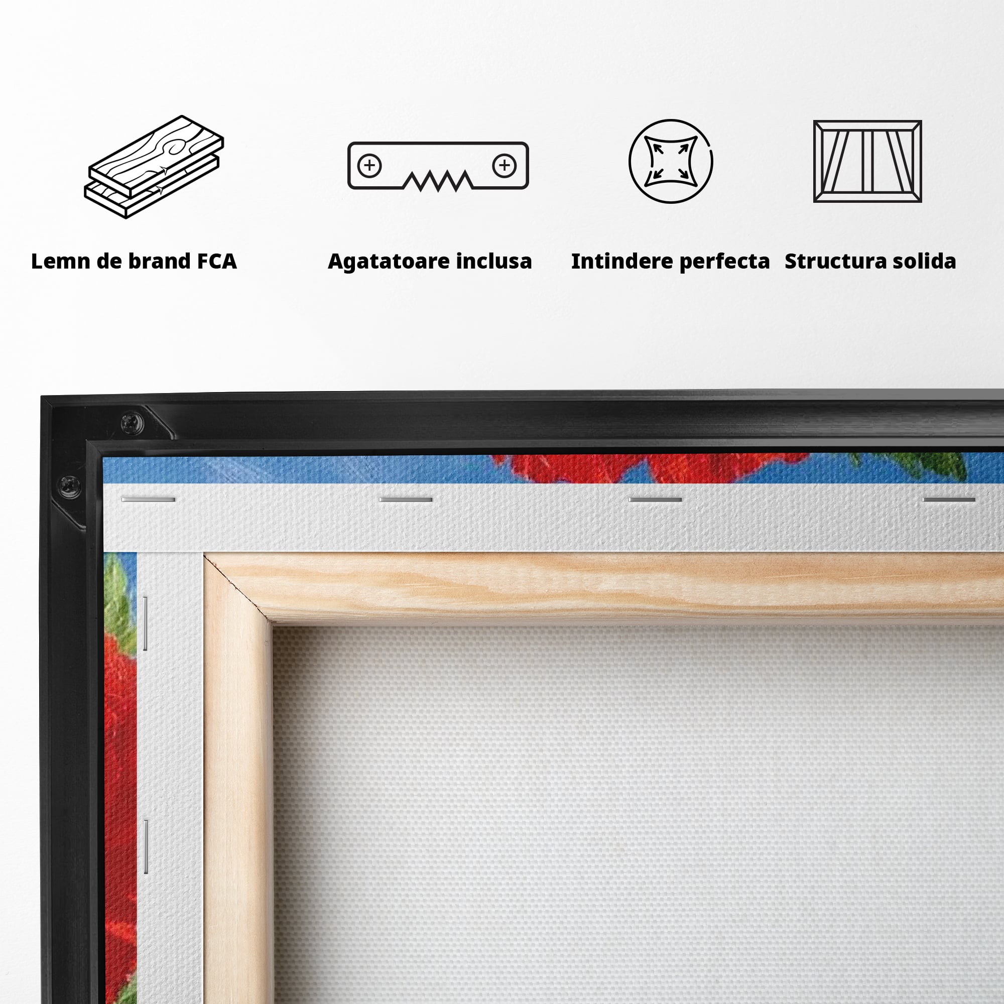 Tablou Canvas Premium, LuxCanva® L1019, Patrie in Petale, Flori, Maci, Petale, Steag, Omagiu, America, Simbol, Natura, Birou, Living, Camera Copii