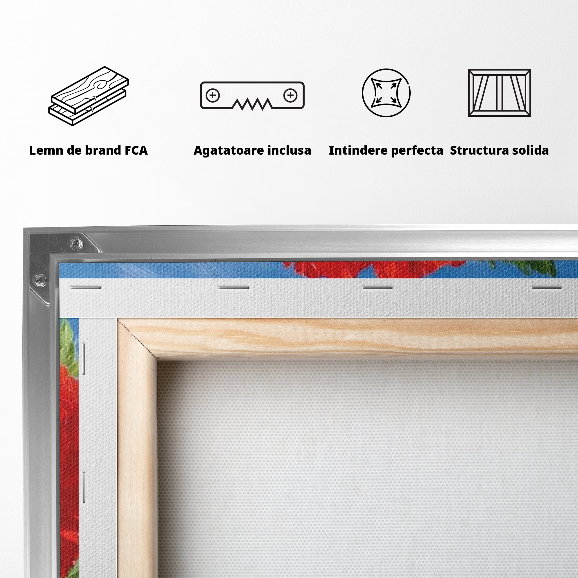 Tablou Canvas Premium, LuxCanva® L1019, Patrie in Petale, Flori, Maci, Petale, Steag, Omagiu, America, Simbol, Natura, Birou, Living, Camera Copii