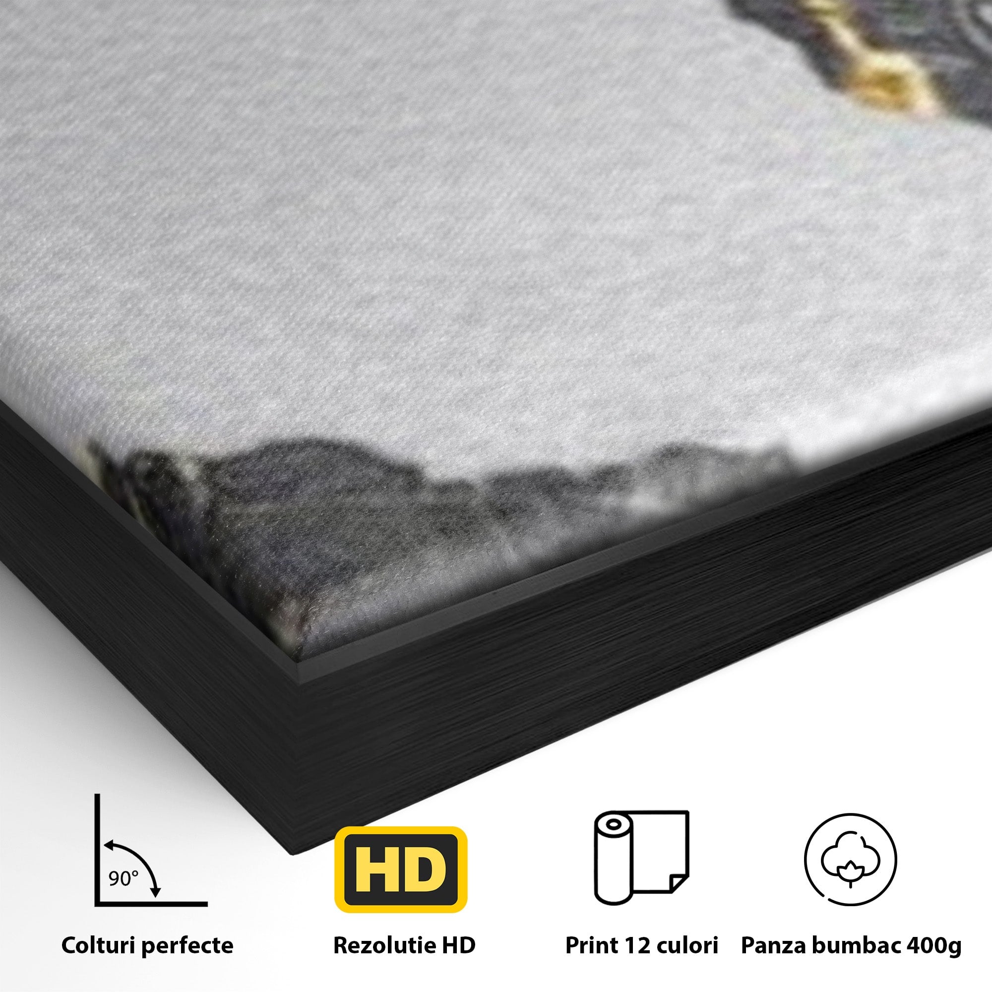Set 2 Tablouri Canvas Premium LuxCanva® L2-1006, Lumea in Marmura si Aur, Harta, Mapamond, Auriu, Negru, Lux, Marmura, Glam, Gold, Arta Murala, Contemporan, Minimalist