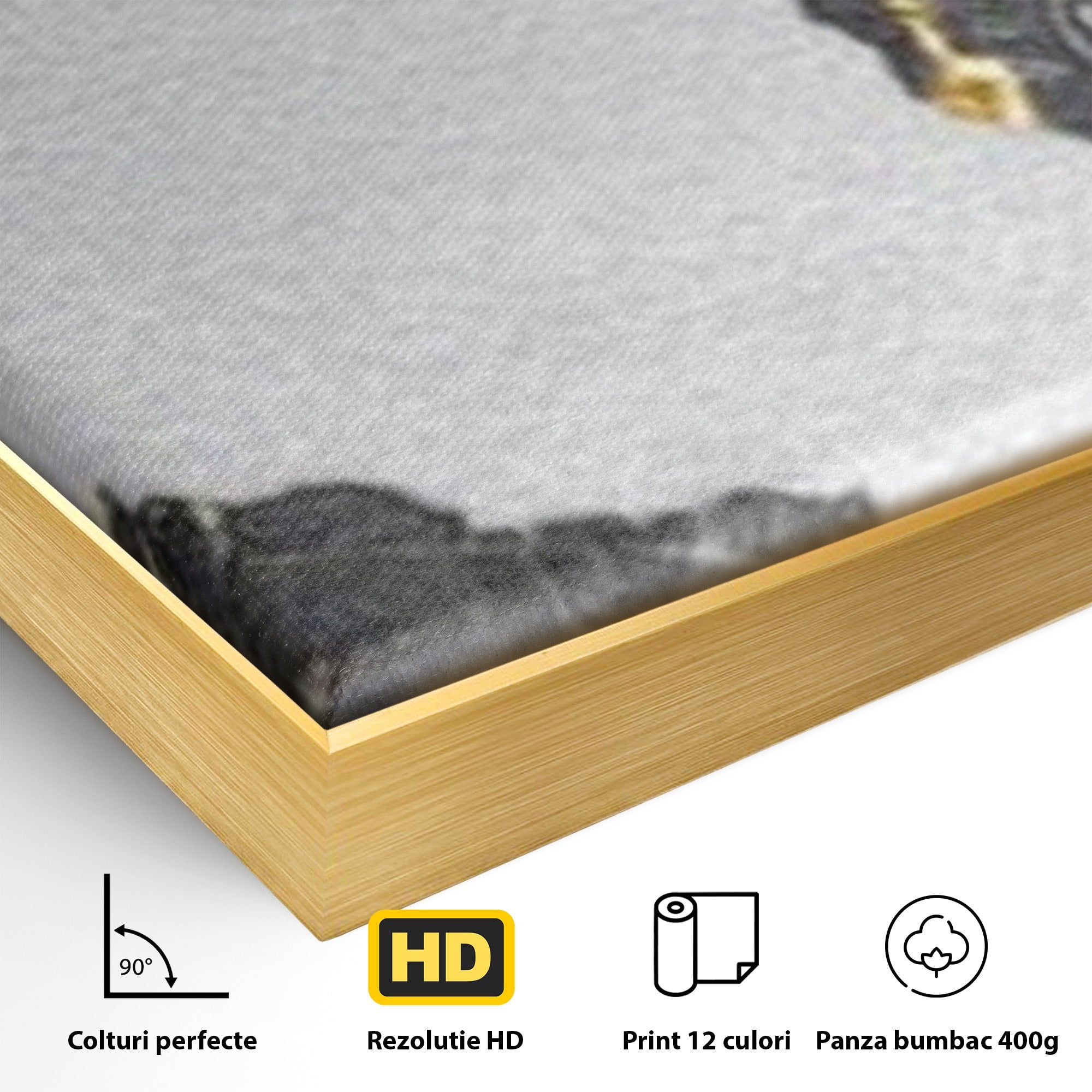 Set 2 Tablouri Canvas Premium LuxCanva® L2-1006, Lumea in Marmura si Aur, Harta, Mapamond, Auriu, Negru, Lux, Marmura, Glam, Gold, Arta Murala, Contemporan, Minimalist