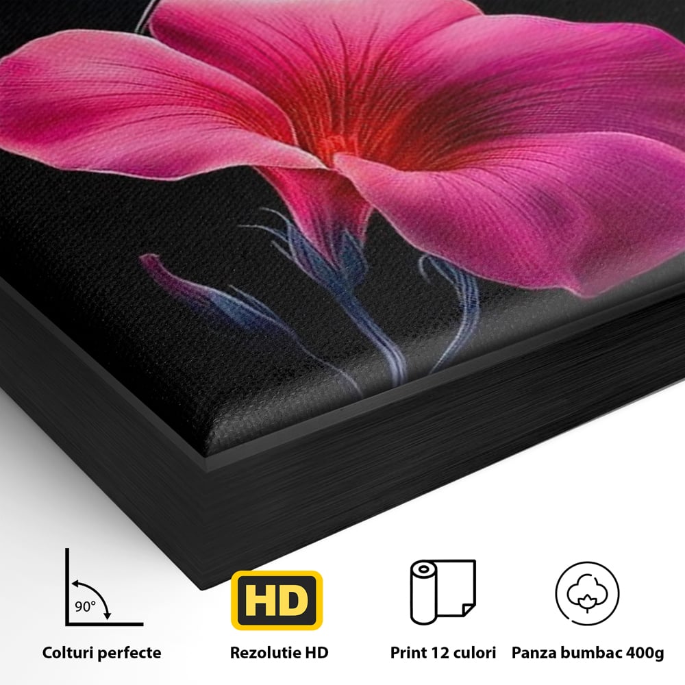 Tablou Canvas Premium, LuxCanva® M1017, Zbor catre Nectarul Vietii, Colibri, Pasare, Pastel, Floare, Petale, Natura, Contrast, Magie, Birou, Living, Camera Copii