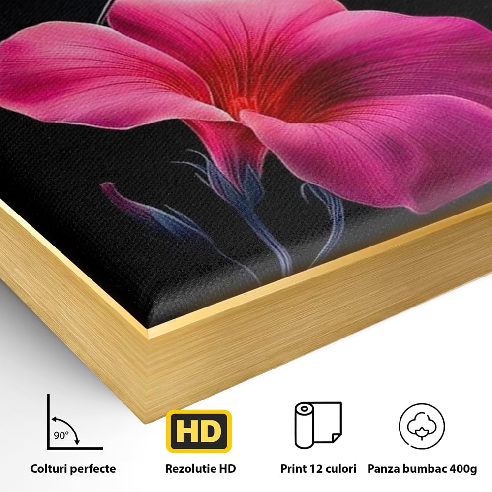 Tablou Canvas Premium, LuxCanva® M1017, Zbor catre Nectarul Vietii, Colibri, Pasare, Pastel, Floare, Petale, Natura, Contrast, Magie, Birou, Living, Camera Copii