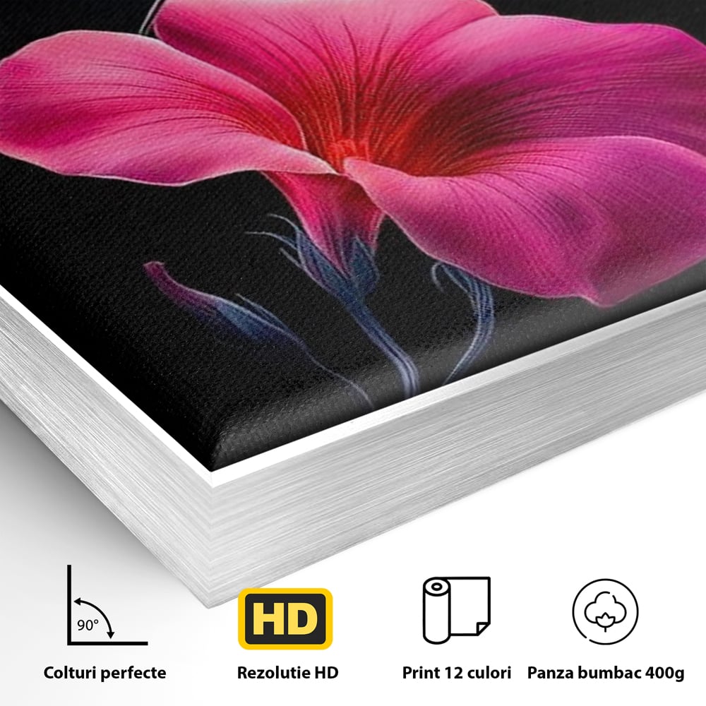 Tablou Canvas Premium, LuxCanva® M1017, Zbor catre Nectarul Vietii, Colibri, Pasare, Pastel, Floare, Petale, Natura, Contrast, Magie, Birou, Living, Camera Copii