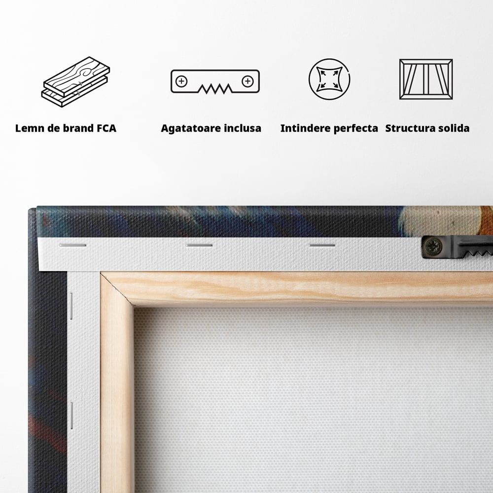 Leinwandbilder Premium, LuxCanva® M1021, Feuer und Eis Federn, Adler, Vogel, Freiheit, Kraft, Adler, Schnabel, Federn, Kontrast, Symbol, Büro, Wohnen, Kinderzimmer