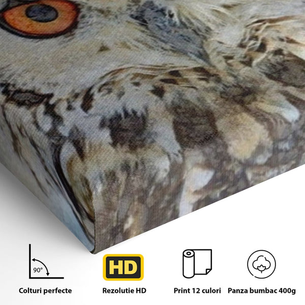 Tablou Canvas Premium, LuxCanva® M1022, Bufnita Pictata in Ceata, Bufnita, Pasare, Intelepciune, Mister, Privire, Penaj, Minimalist, Birou, Living, Camera Copii