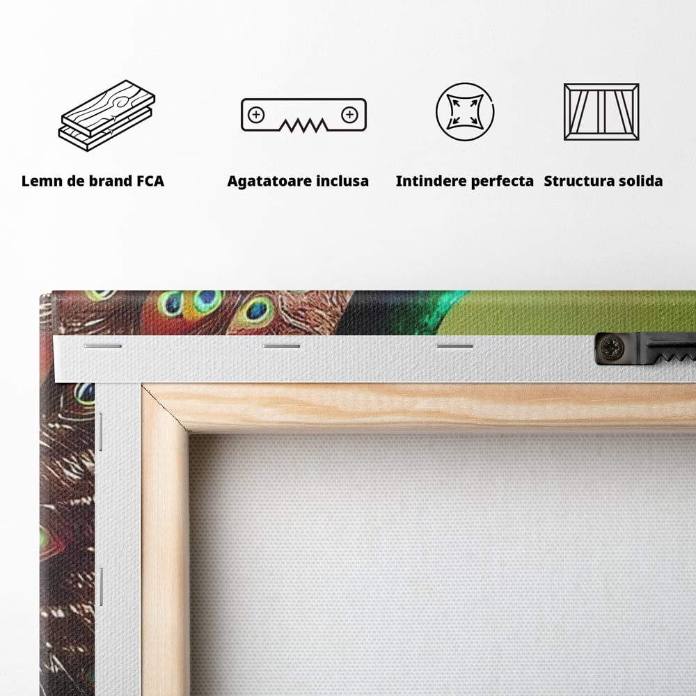 Leinwand Wandbilder Canvas Premium, LuxCanva® M1027, Exotische Pracht, Pfau, Vogel, Schwanz, Elegant, Mystisch, Edel, Bohème, Exotisch, Tropisch, Büro, Wohnen, Kinderzimmer