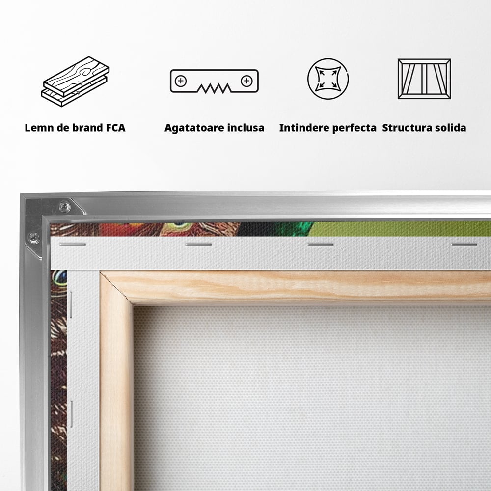 Leinwand Wandbilder Canvas Premium, LuxCanva® M1027, Exotische Pracht, Pfau, Vogel, Schwanz, Elegant, Mystisch, Edel, Bohème, Exotisch, Tropisch, Büro, Wohnen, Kinderzimmer
