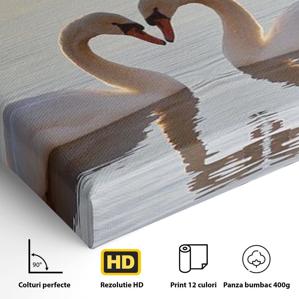 Tablou Canvas Premium, LuxCanva® M1032, Simetrie Romantica, Lebede, Pasari, Pereche, Lac, Reflexie, Iubire, Romantism, Natura, Relaxare, Birou, Living, Camera Copil