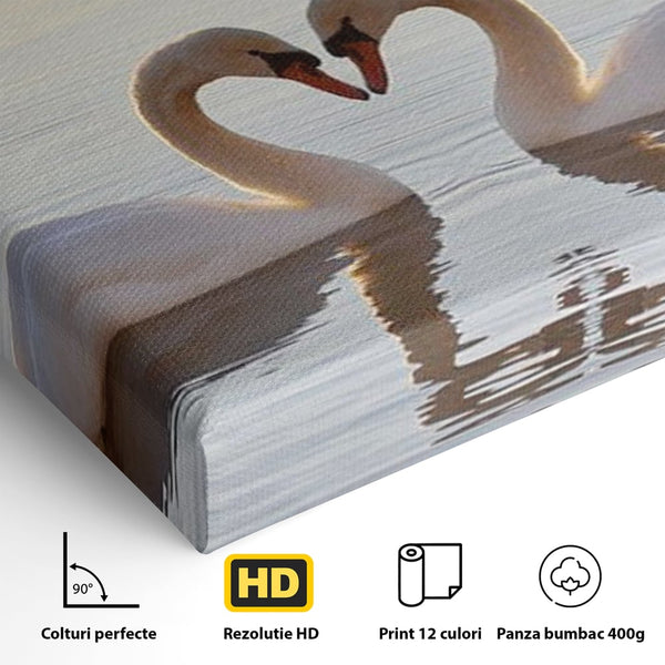 Tablou Canvas Premium, LuxCanva® M1032, Simetrie Romantica, Lebede, Pasari, Pereche, Lac, Reflexie, Iubire, Romantism, Natura, Relaxare, Birou, Living, Camera Copil