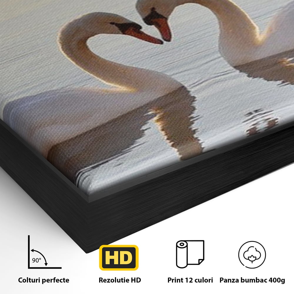 Tablou Canvas Premium, LuxCanva® M1032, Simetrie Romantica, Lebede, Pasari, Pereche, Lac, Reflexie, Iubire, Romantism, Natura, Relaxare, Birou, Living, Camera Copil