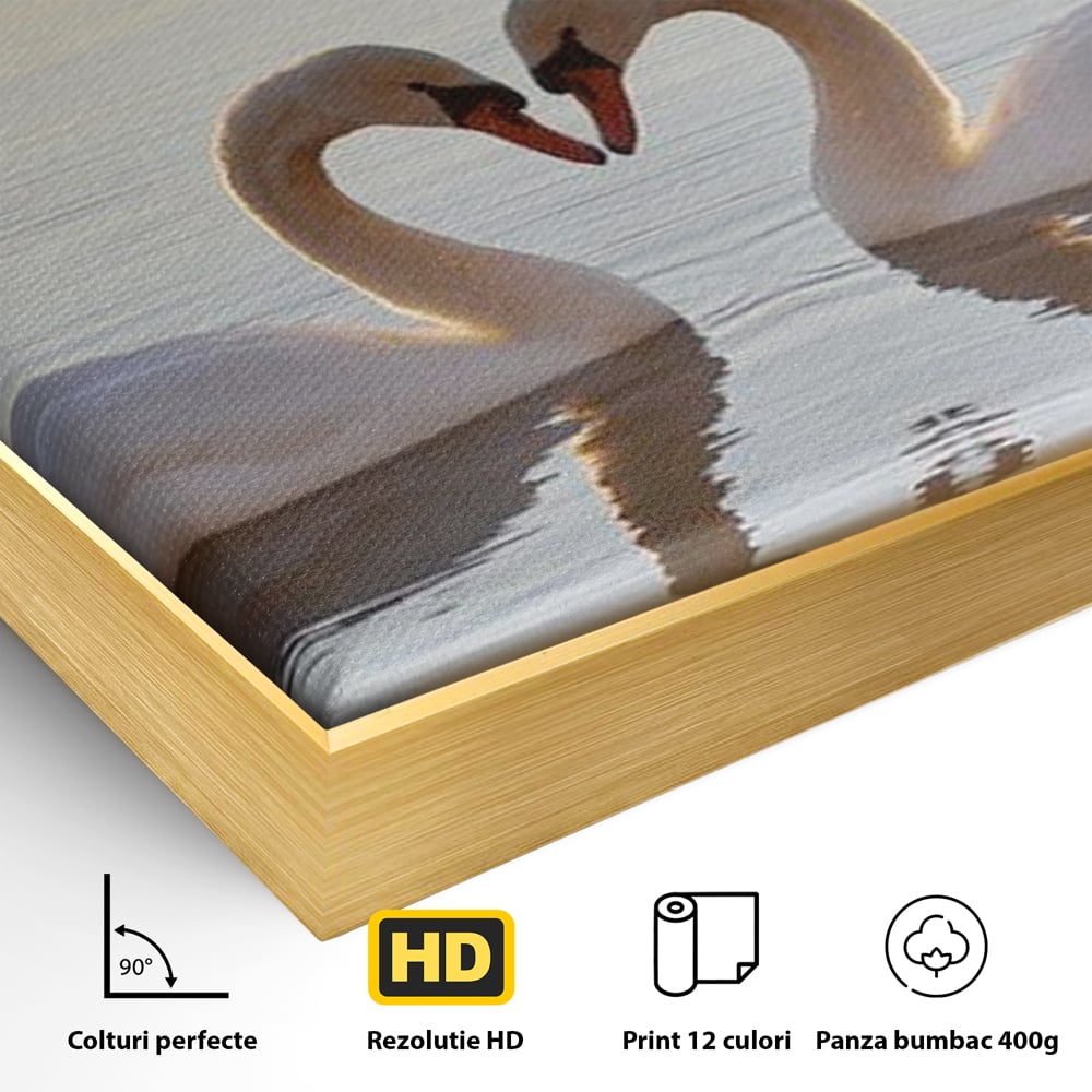 Tablou Canvas Premium, LuxCanva® M1032, Simetrie Romantica, Lebede, Pasari, Pereche, Lac, Reflexie, Iubire, Romantism, Natura, Relaxare, Birou, Living, Camera Copil