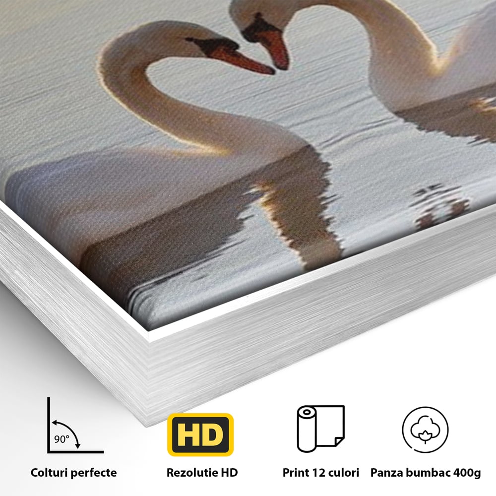 Tablou Canvas Premium, LuxCanva® M1032, Simetrie Romantica, Lebede, Pasari, Pereche, Lac, Reflexie, Iubire, Romantism, Natura, Relaxare, Birou, Living, Camera Copil