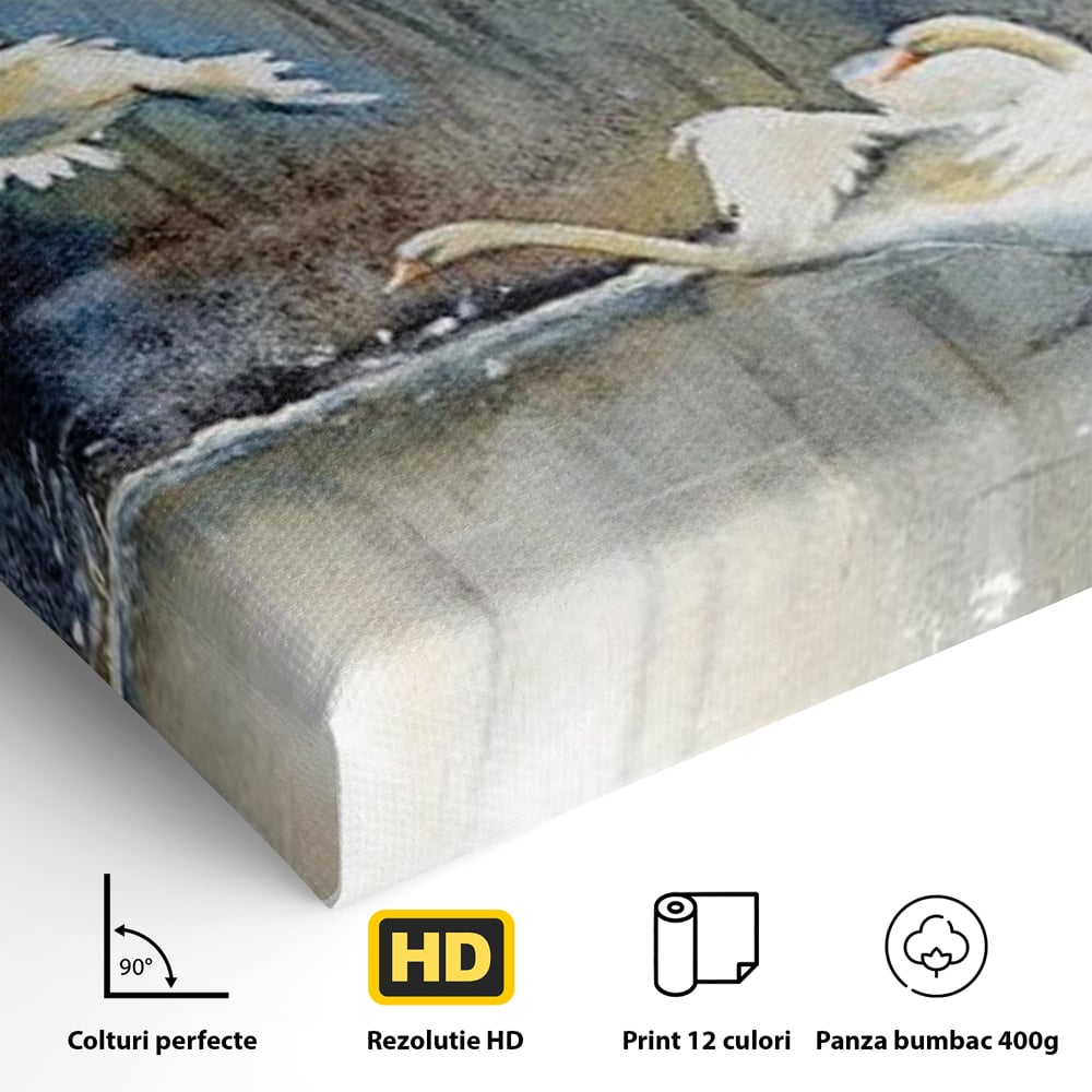 Tablou Canvas Premium, LuxCanva® M1033, Frumusetea Evadarii, Lac, Cer, Grup, Prietenie, Pasari, Lebede, Joc, Miscare, Peisaj, Apa, Birou, Living, Camera Copil