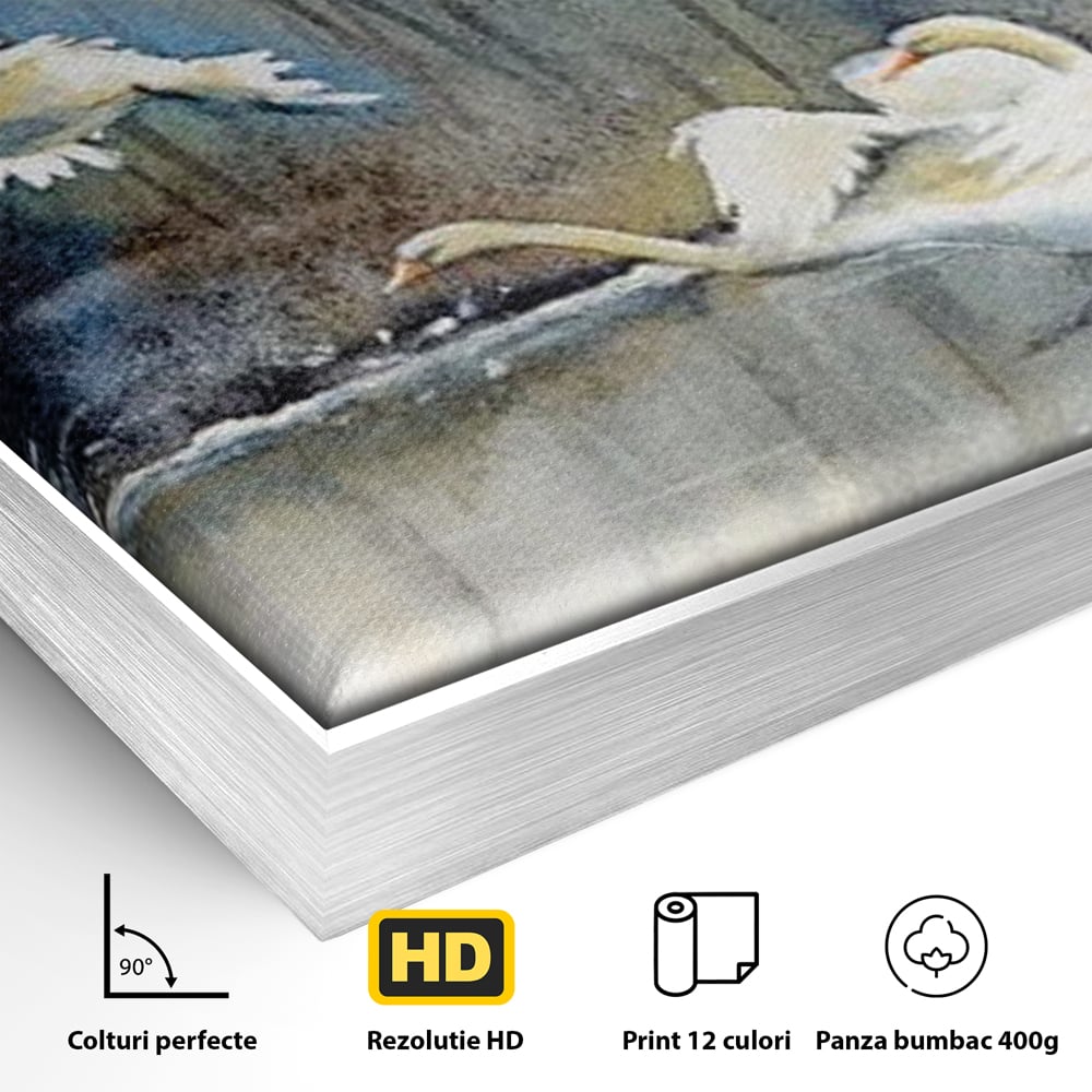 Tablou Canvas Premium, LuxCanva® M1033, Frumusetea Evadarii, Lac, Cer, Grup, Prietenie, Pasari, Lebede, Joc, Miscare, Peisaj, Apa, Birou, Living, Camera Copil