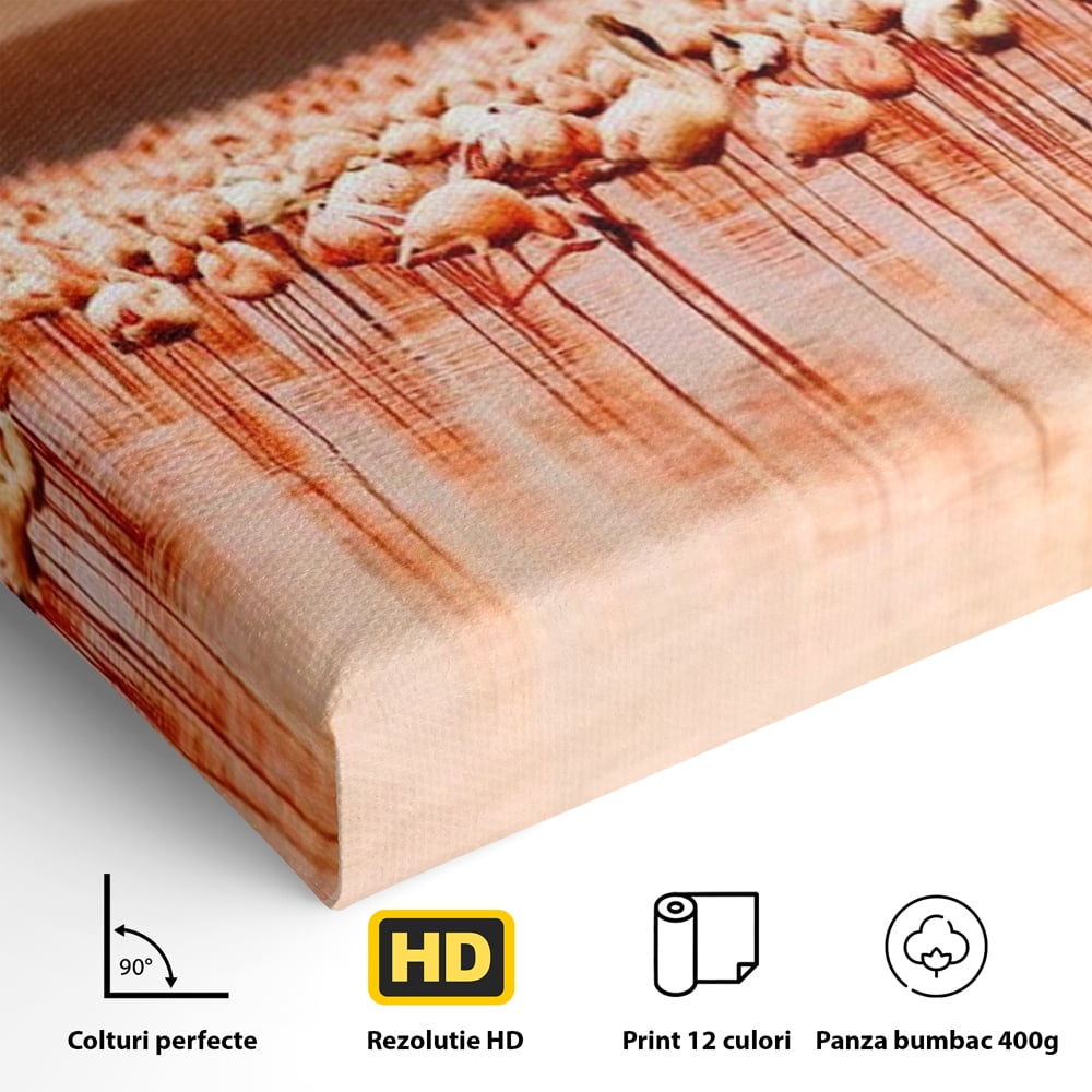 Tablou Canvas Premium, LuxCanva® M1034, Orizont in Flacari Roz, Apus, Pasari, Flamingo, Roz, Tropical, Miraj, Peisaj, Apa, Reflexie, Birou, Living, Camera Copil