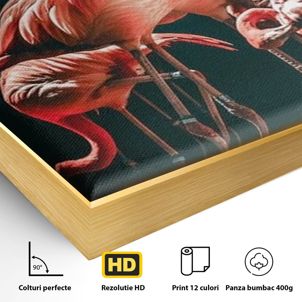 Tablou Canvas Premium, LuxCanva® M1040, Imparatia Flamingo, Pasari, Flamingo, Exotic, Roz, Mister, Eleganta, Grup, Petale, Flori, Gradina, Birou, Living, Camera Copil