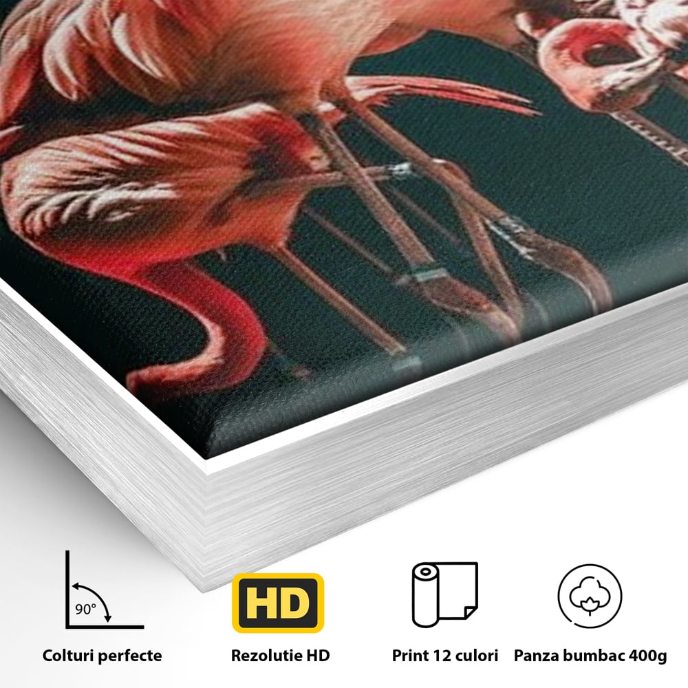 Tablou Canvas Premium, LuxCanva® M1040, Imparatia Flamingo, Pasari, Flamingo, Exotic, Roz, Mister, Eleganta, Grup, Petale, Flori, Gradina, Birou, Living, Camera Copil