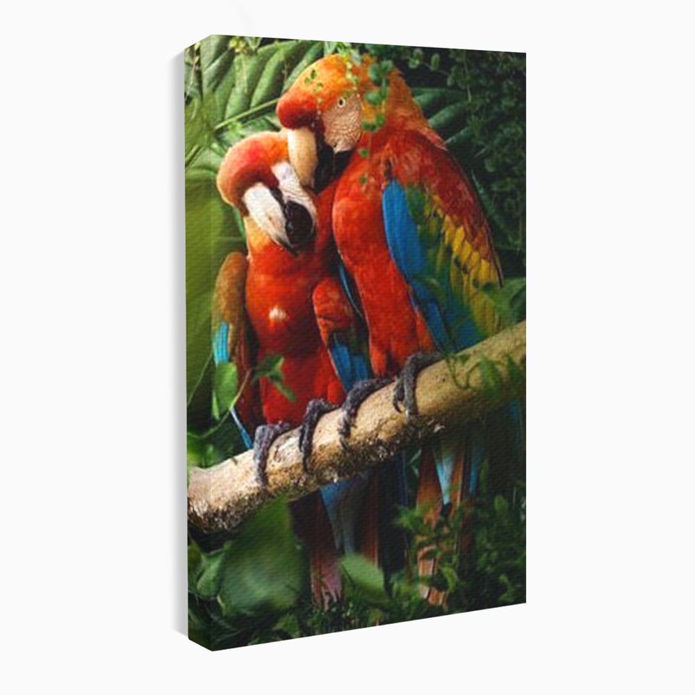 Leinwand Wandkunst Leinwand Wandkunst Premium, LuxCanva® M1041, Paradies Ecke, Papageien, Paar, Dschungel, Exoten, Zweig, Blätter, Amazonas, Vögel, Büro, Wohnen, Babyzimmer