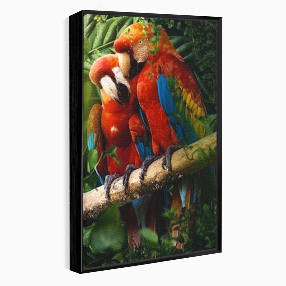 Leinwand Wandkunst Leinwand Wandkunst Premium, LuxCanva® M1041, Paradies Ecke, Papageien, Paar, Dschungel, Exoten, Zweig, Blätter, Amazonas, Vögel, Büro, Wohnen, Babyzimmer