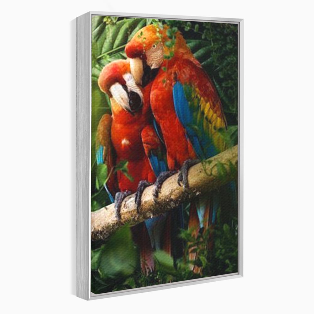Leinwand Wandkunst Leinwand Wandkunst Premium, LuxCanva® M1041, Paradies Ecke, Papageien, Paar, Dschungel, Exoten, Zweig, Blätter, Amazonas, Vögel, Büro, Wohnen, Babyzimmer
