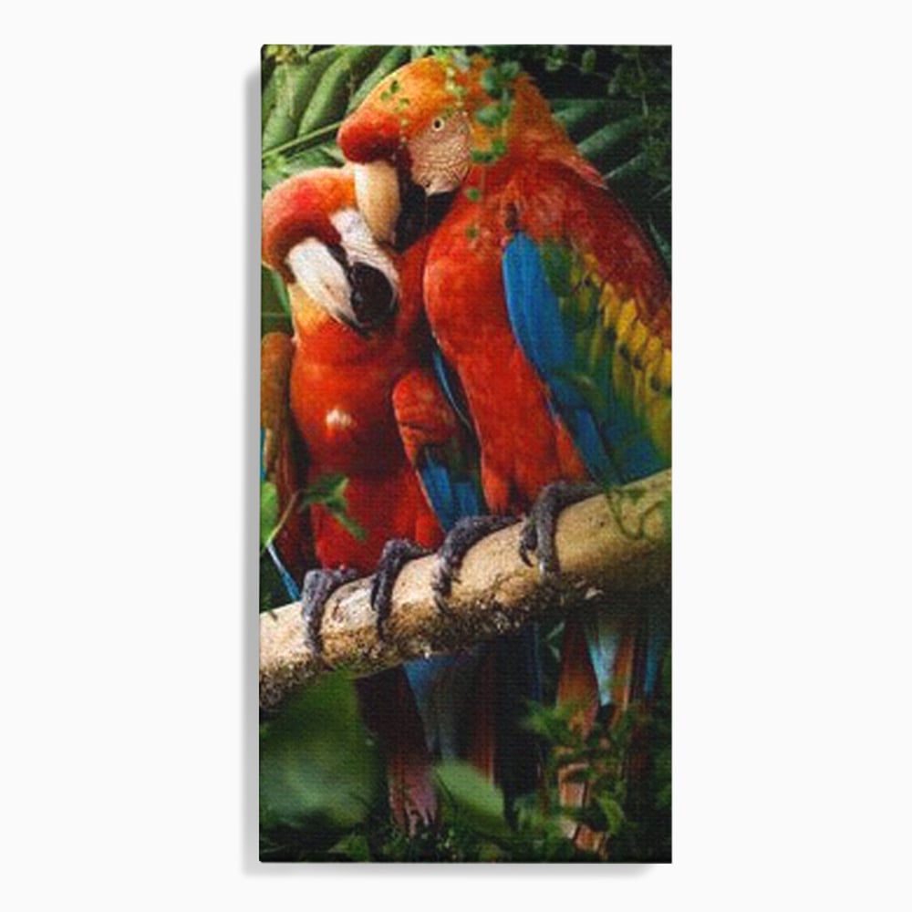 Leinwand Wandkunst Leinwand Wandkunst Premium, LuxCanva® M1041, Paradies Ecke, Papageien, Paar, Dschungel, Exoten, Zweig, Blätter, Amazonas, Vögel, Büro, Wohnen, Babyzimmer