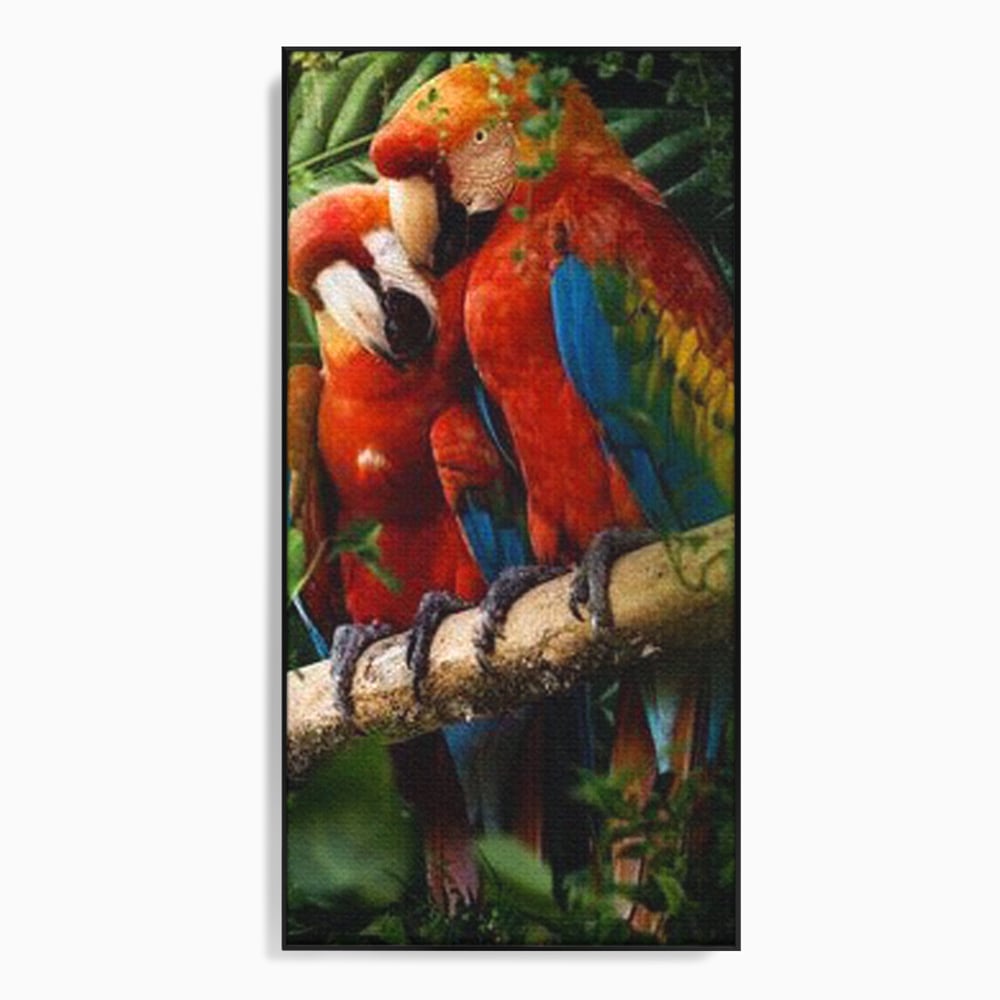 Leinwand Wandkunst Leinwand Wandkunst Premium, LuxCanva® M1041, Paradies Ecke, Papageien, Paar, Dschungel, Exoten, Zweig, Blätter, Amazonas, Vögel, Büro, Wohnen, Babyzimmer