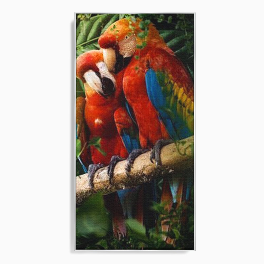 Leinwand Wandkunst Leinwand Wandkunst Premium, LuxCanva® M1041, Paradies Ecke, Papageien, Paar, Dschungel, Exoten, Zweig, Blätter, Amazonas, Vögel, Büro, Wohnen, Babyzimmer
