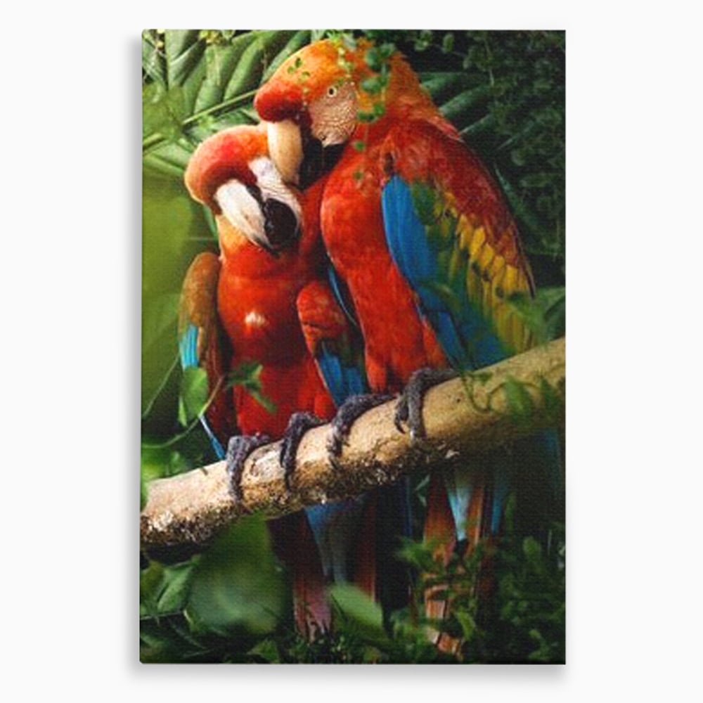 Leinwand Wandkunst Leinwand Wandkunst Premium, LuxCanva® M1041, Paradies Ecke, Papageien, Paar, Dschungel, Exoten, Zweig, Blätter, Amazonas, Vögel, Büro, Wohnen, Babyzimmer