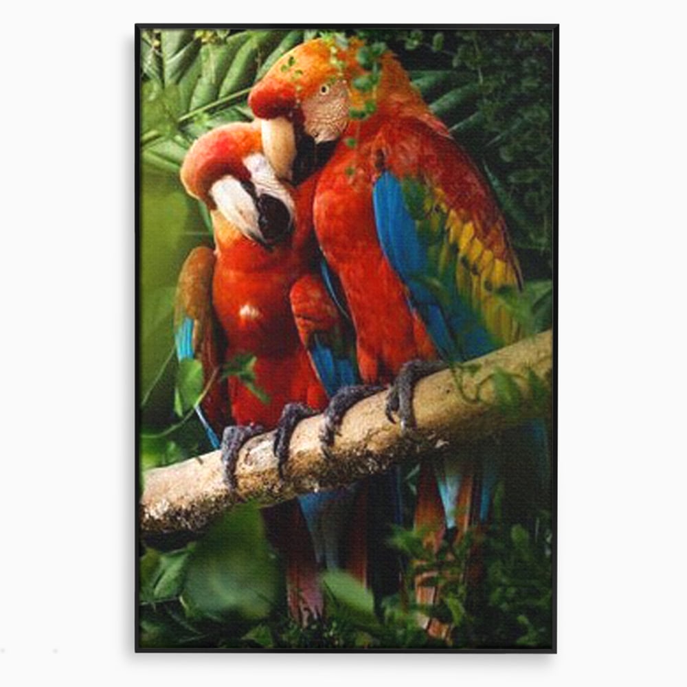 Leinwand Wandkunst Leinwand Wandkunst Premium, LuxCanva® M1041, Paradies Ecke, Papageien, Paar, Dschungel, Exoten, Zweig, Blätter, Amazonas, Vögel, Büro, Wohnen, Babyzimmer