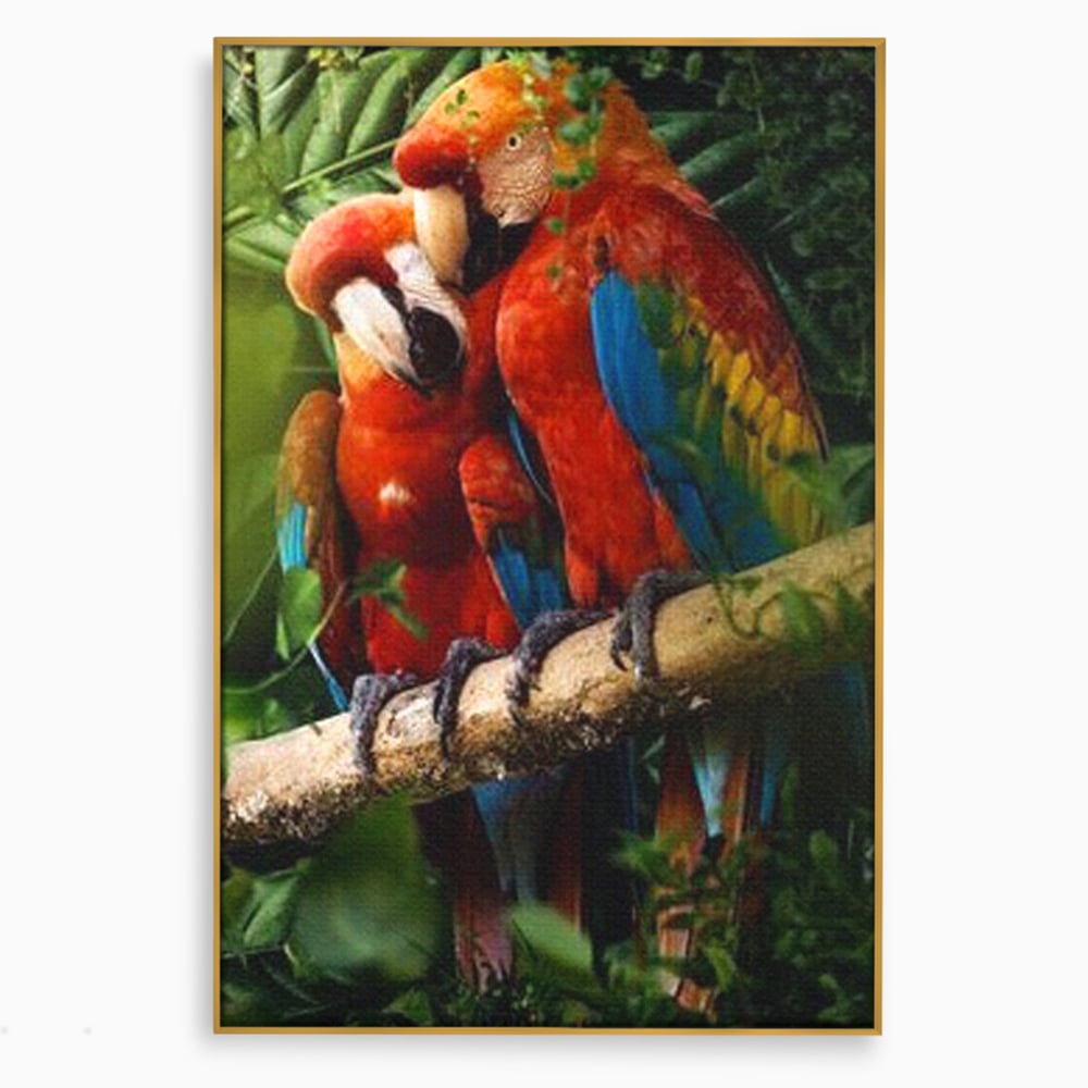 Leinwand Wandkunst Leinwand Wandkunst Premium, LuxCanva® M1041, Paradies Ecke, Papageien, Paar, Dschungel, Exoten, Zweig, Blätter, Amazonas, Vögel, Büro, Wohnen, Babyzimmer