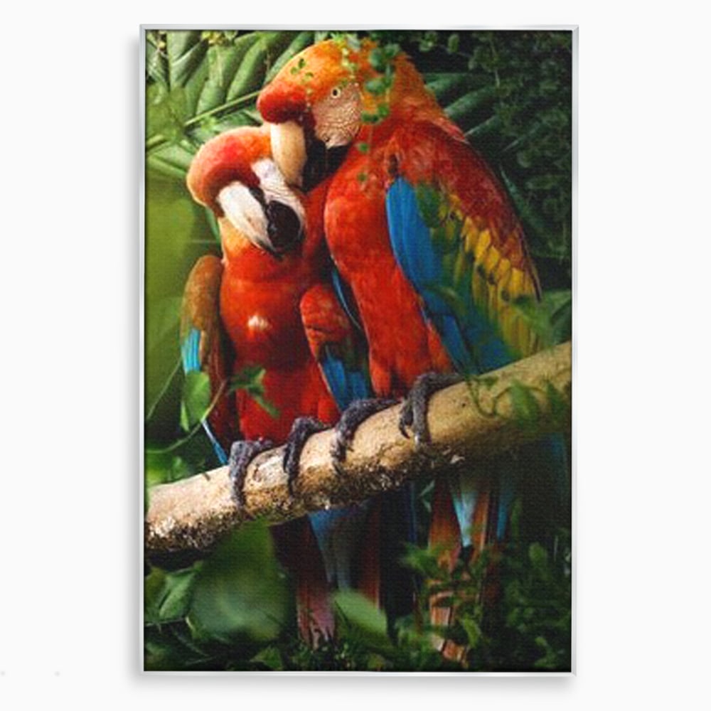 Leinwand Wandkunst Leinwand Wandkunst Premium, LuxCanva® M1041, Paradies Ecke, Papageien, Paar, Dschungel, Exoten, Zweig, Blätter, Amazonas, Vögel, Büro, Wohnen, Babyzimmer