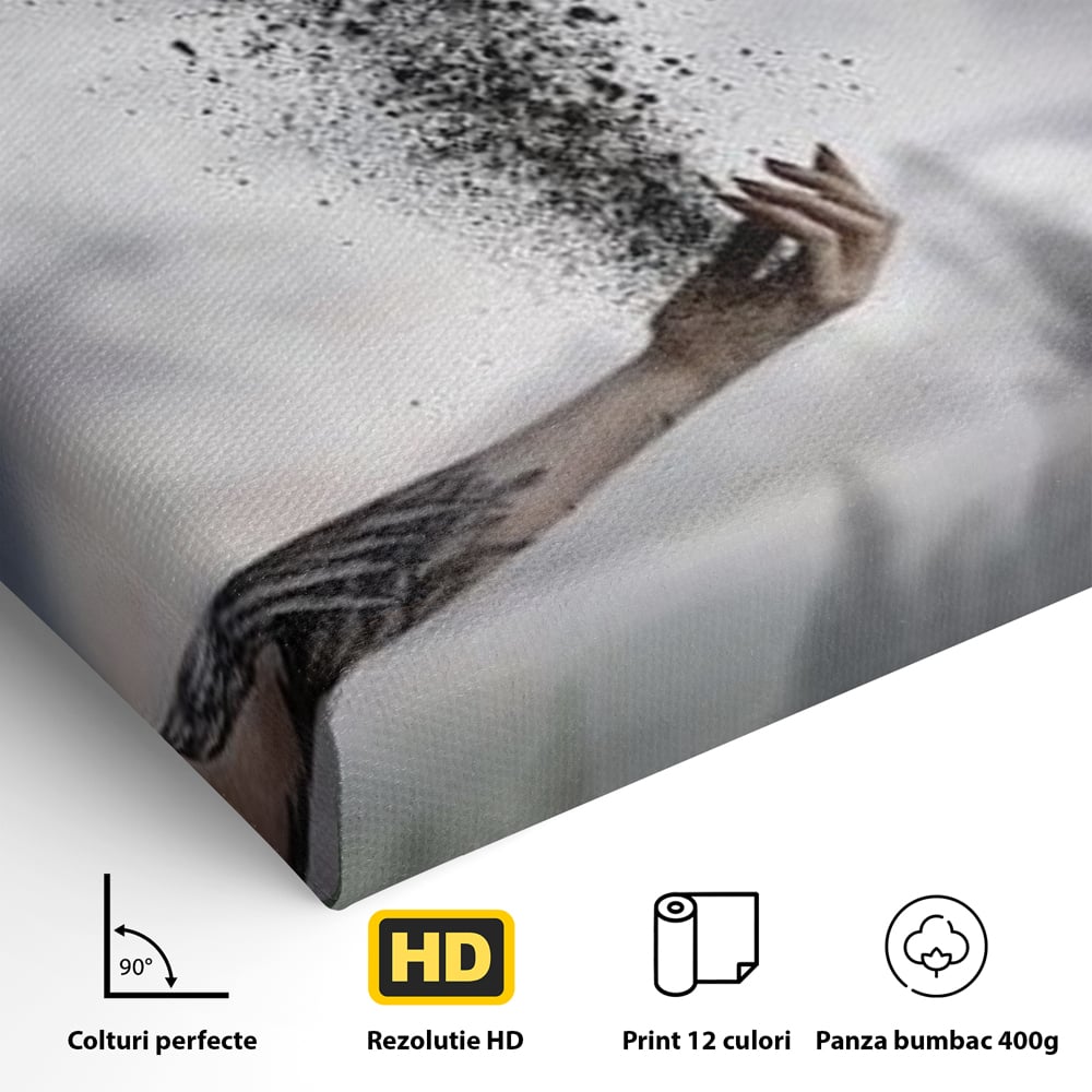 Tablou Canvas Premium, LuxCanva® M1044, Zbor din Cenusa, Zbor, Vultur, Pasare, Mana, Tatuaj, Cenusa, Aripi, Praf, Renastere, Magie, Birou, Living, Camera Copil
