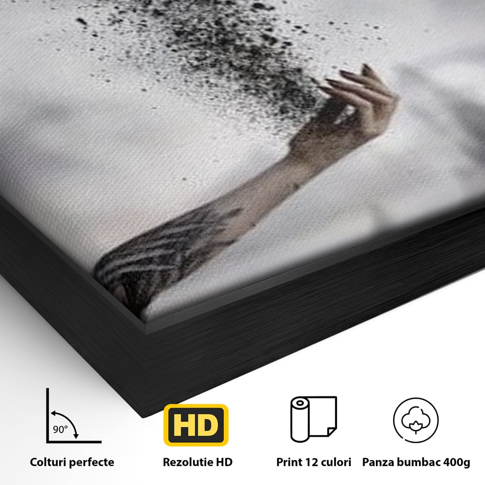 Tablou Canvas Premium, LuxCanva® M1044, Zbor din Cenusa, Zbor, Vultur, Pasare, Mana, Tatuaj, Cenusa, Aripi, Praf, Renastere, Magie, Birou, Living, Camera Copil