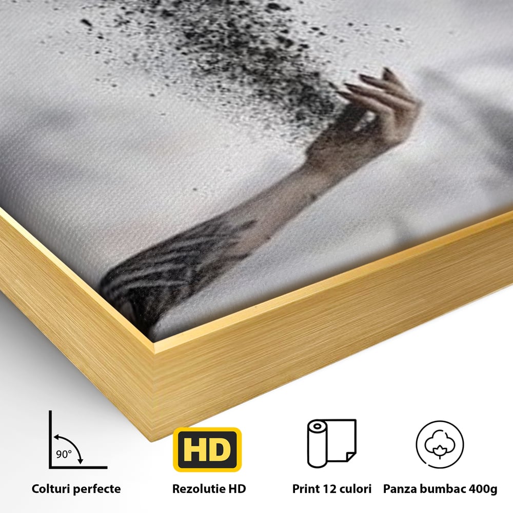 Tablou Canvas Premium, LuxCanva® M1044, Zbor din Cenusa, Zbor, Vultur, Pasare, Mana, Tatuaj, Cenusa, Aripi, Praf, Renastere, Magie, Birou, Living, Camera Copil