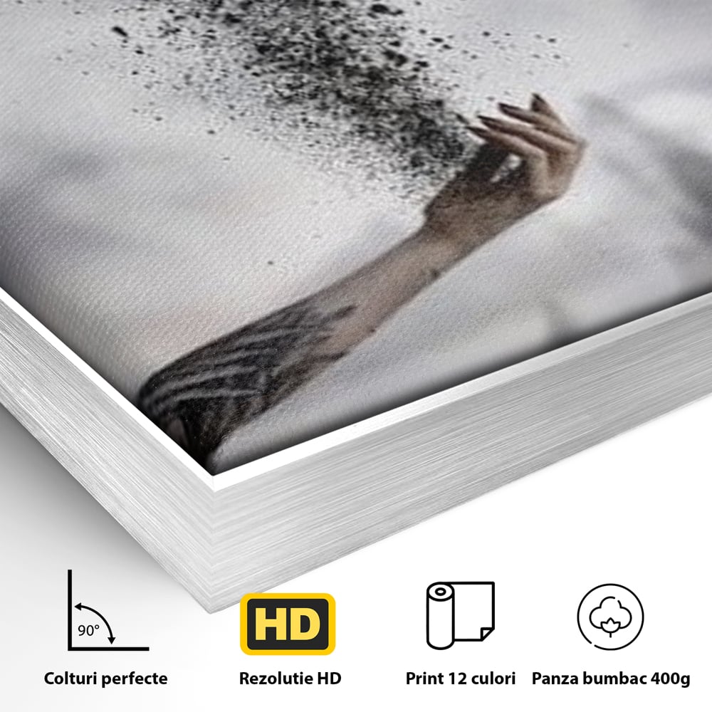 Tablou Canvas Premium, LuxCanva® M1044, Zbor din Cenusa, Zbor, Vultur, Pasare, Mana, Tatuaj, Cenusa, Aripi, Praf, Renastere, Magie, Birou, Living, Camera Copil