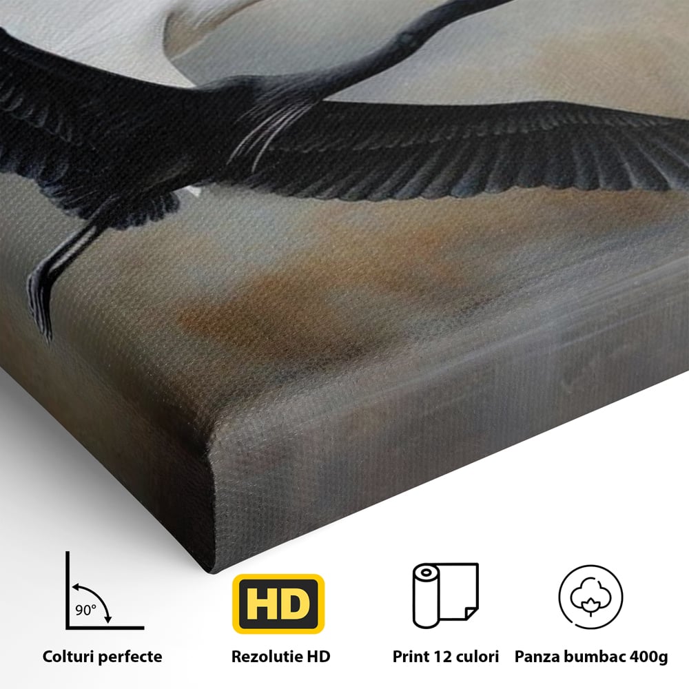 Tablou Canvas Premium, LuxCanva® M1060, Tandem in Infinit, Pasari, Pereche, Simetrie, Echilibru, Yin, Yang, Zbor, Alb, Negru, Lac, Cer, Natura, Birou, Living, Camera Copil