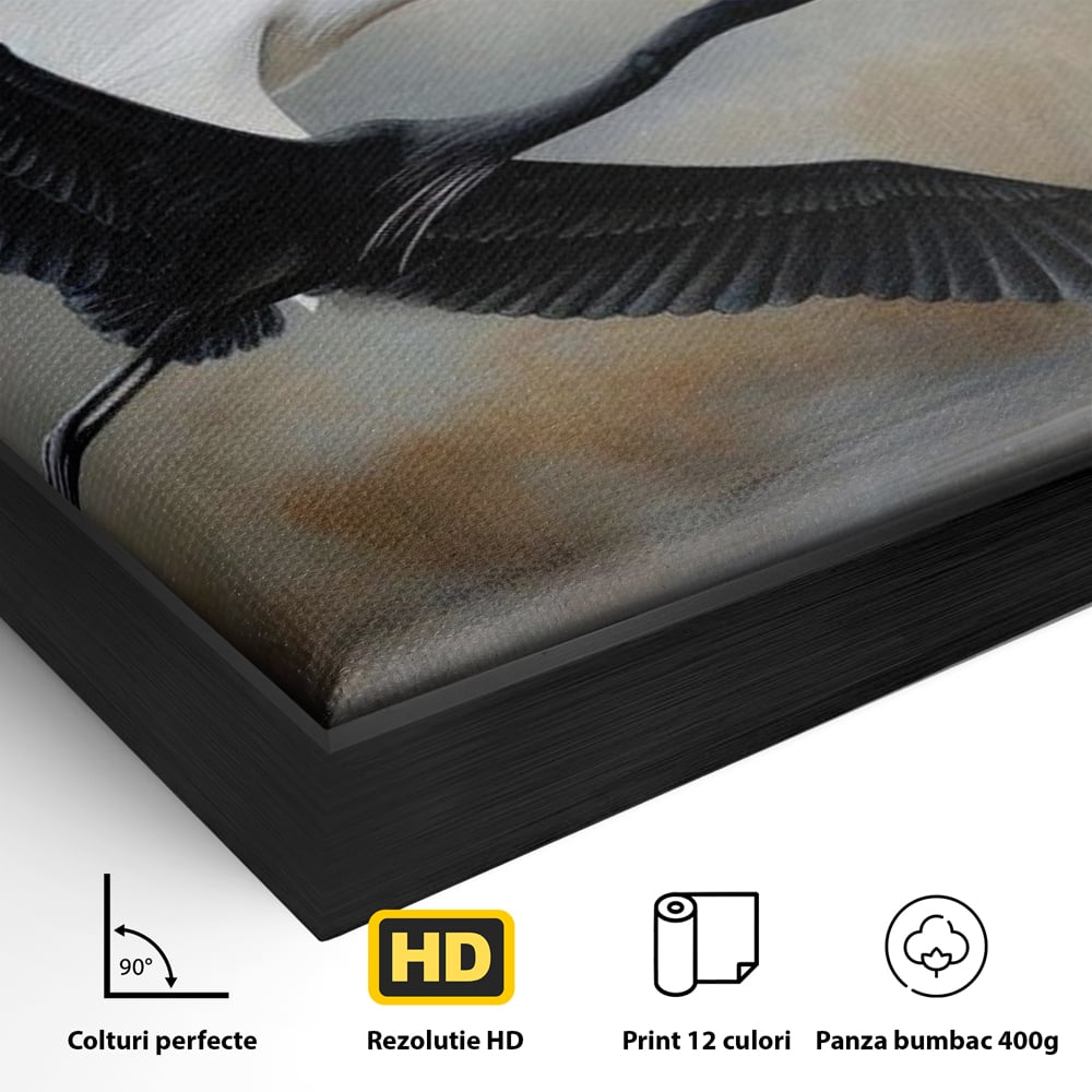 Tablou Canvas Premium, LuxCanva® M1060, Tandem in Infinit, Pasari, Pereche, Simetrie, Echilibru, Yin, Yang, Zbor, Alb, Negru, Lac, Cer, Natura, Birou, Living, Camera Copil
