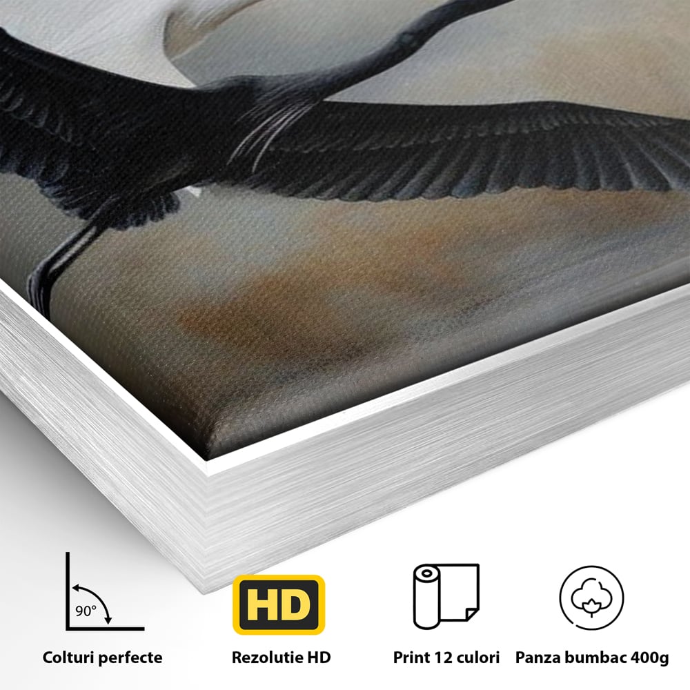 Tablou Canvas Premium, LuxCanva® M1060, Tandem in Infinit, Pasari, Pereche, Simetrie, Echilibru, Yin, Yang, Zbor, Alb, Negru, Lac, Cer, Natura, Birou, Living, Camera Copil
