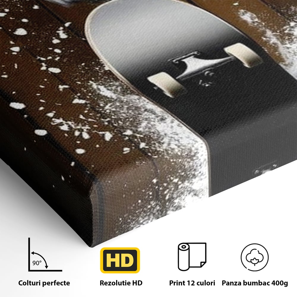 Tablou Canvas Premium, LuxCanva® M1076, Profetul pe Roti, Bufnita, Aripi, Zbor, Pasare, Skateboard, Roti, Urban, Miscare, Energie, Joc, Sport, Copilarie, Birou, Living, Camera Copil