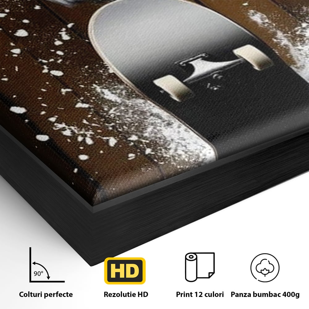 Tablou Canvas Premium, LuxCanva® M1076, Profetul pe Roti, Bufnita, Aripi, Zbor, Pasare, Skateboard, Roti, Urban, Miscare, Energie, Joc, Sport, Copilarie, Birou, Living, Camera Copil