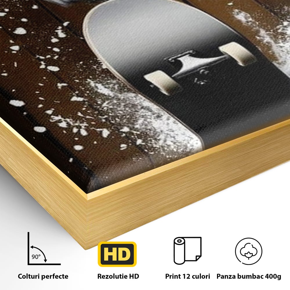 Tablou Canvas Premium, LuxCanva® M1076, Profetul pe Roti, Bufnita, Aripi, Zbor, Pasare, Skateboard, Roti, Urban, Miscare, Energie, Joc, Sport, Copilarie, Birou, Living, Camera Copil