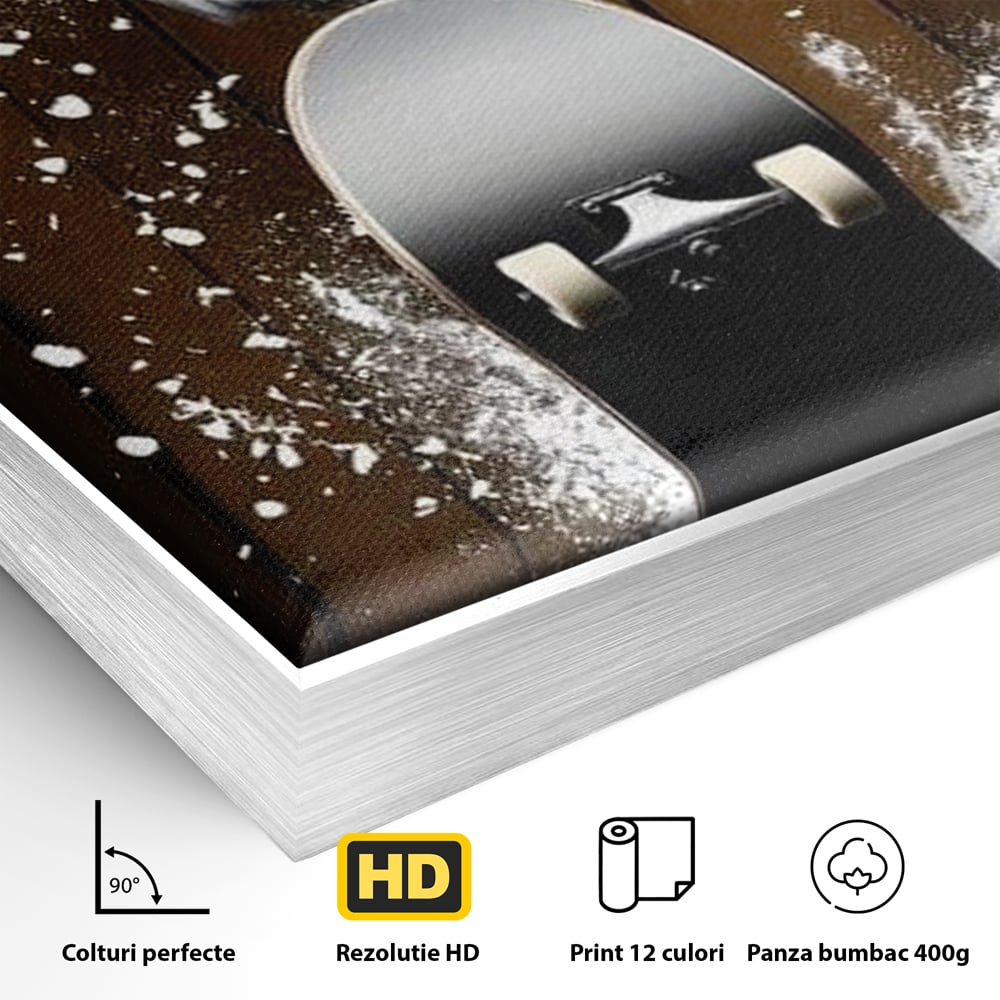 Tablou Canvas Premium, LuxCanva® M1076, Profetul pe Roti, Bufnita, Aripi, Zbor, Pasare, Skateboard, Roti, Urban, Miscare, Energie, Joc, Sport, Copilarie, Birou, Living, Camera Copil