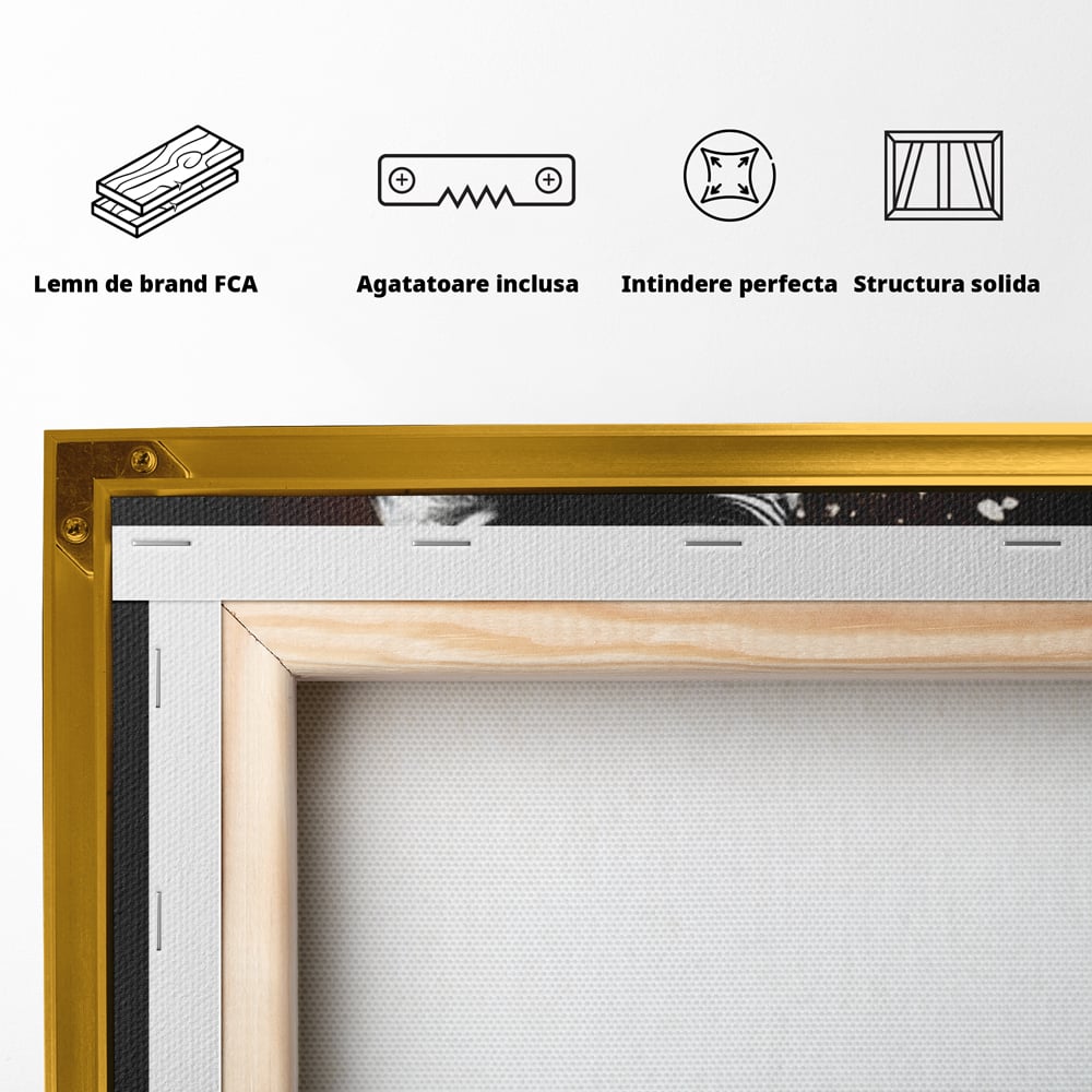 Tablou Canvas Premium, LuxCanva® M1076, Profetul pe Roti, Bufnita, Aripi, Zbor, Pasare, Skateboard, Roti, Urban, Miscare, Energie, Joc, Sport, Copilarie, Birou, Living, Camera Copil