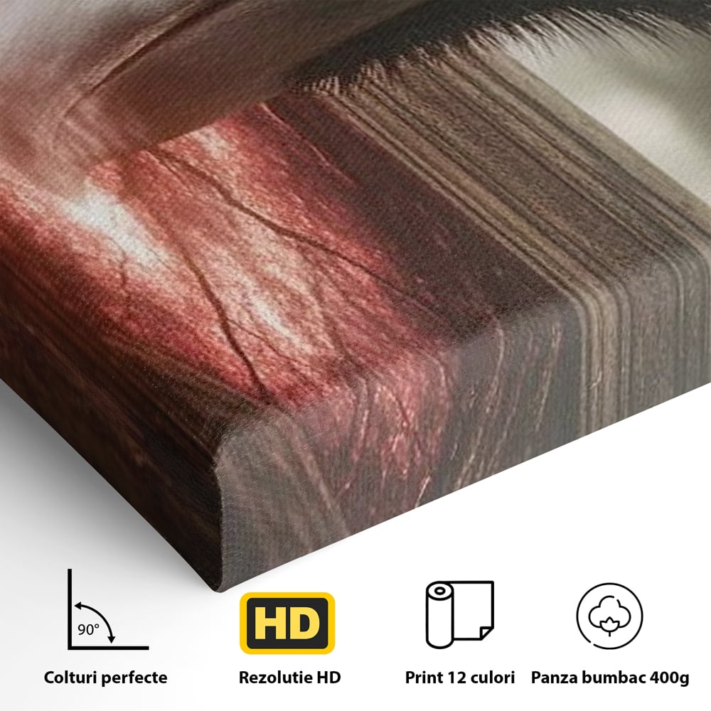 Tablou Canvas Premium, LuxCanva® M1084, Fereastra dintre Lumi, Corb, Privire, Ochi, Viziune, Portal, Magie, Secret, Revelatie, Mister, Pasare, Fereastra, Birou, Living, Camera Copil